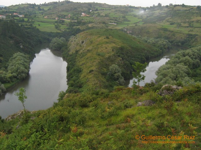Ardinales al abrigo de los Meandros del Nora