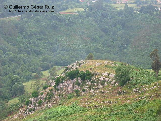 Grezos en La Rodiella, Uviéu