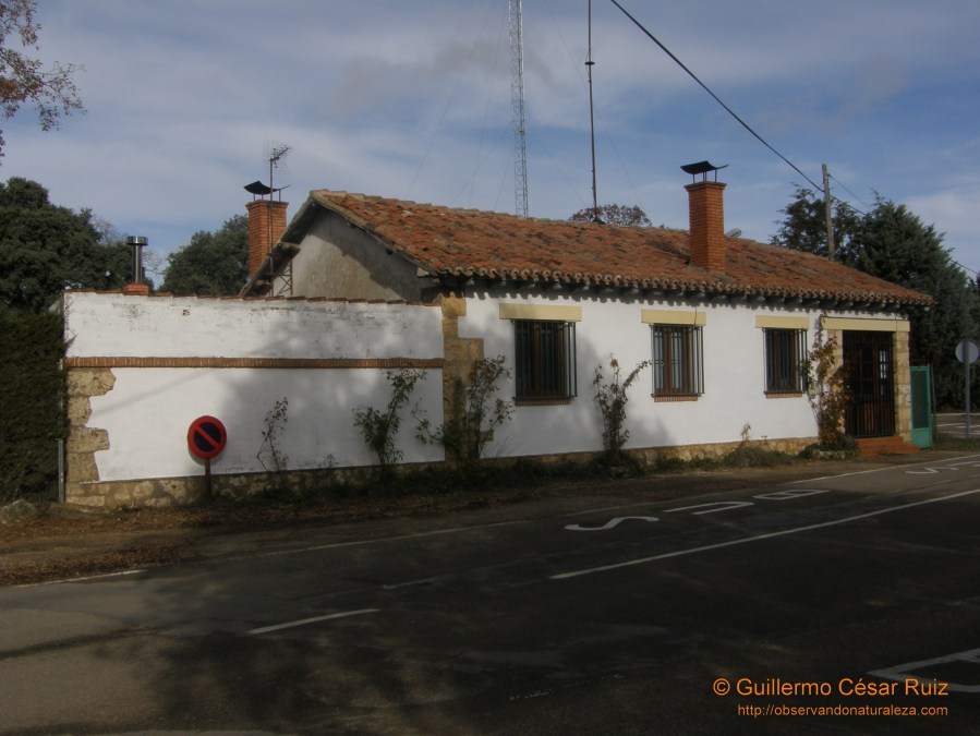 Casa Forestal