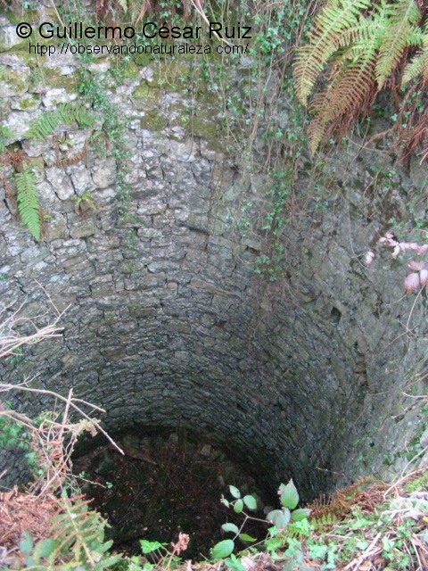 Pozo de nieve en El Pevidal.