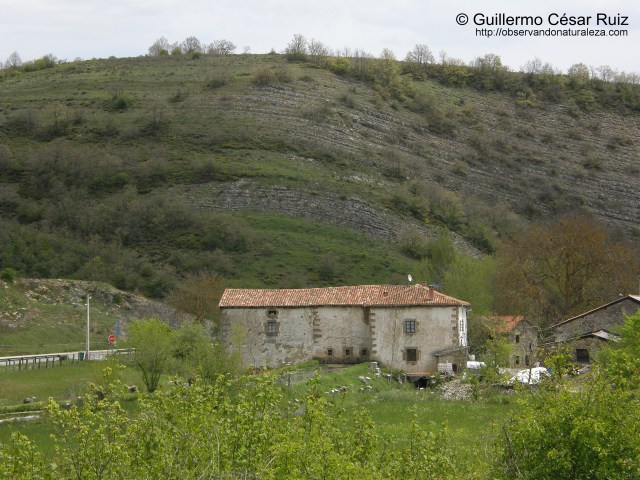 Molino La Fabrica y entorno