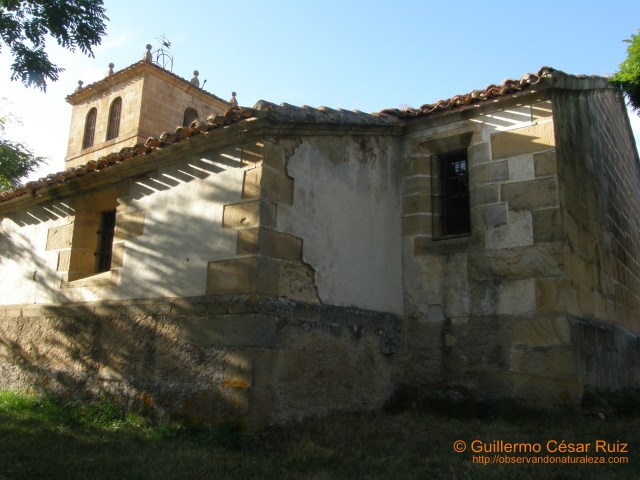 Lateral y ábside exterior iglesia Sta. Eugenia