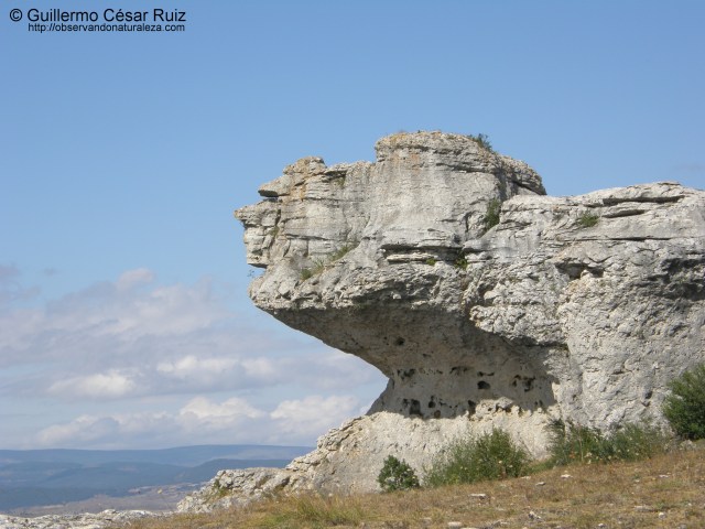 Hablando desde Las Tuerces