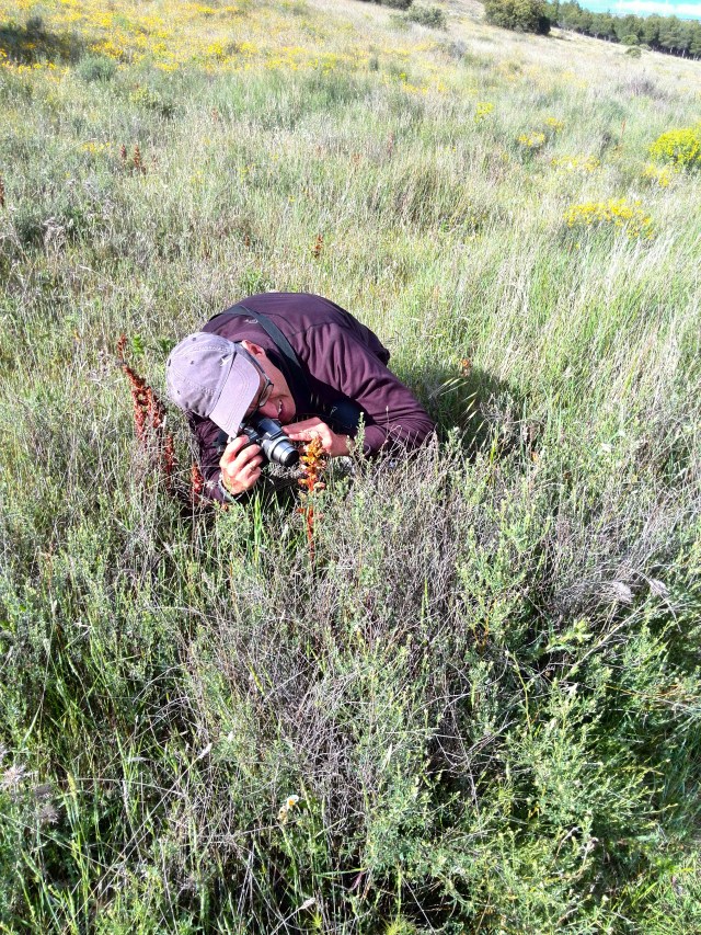 Guillermo en Monte El Viejo, Palencia