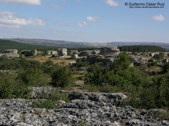 Geoparque Mundial Las Loras, Espacio Natural Las Tuerces, un paisaje encantado