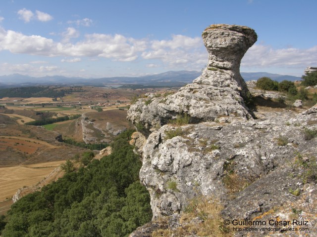 Peón de ajedrez en Las Tuerces
