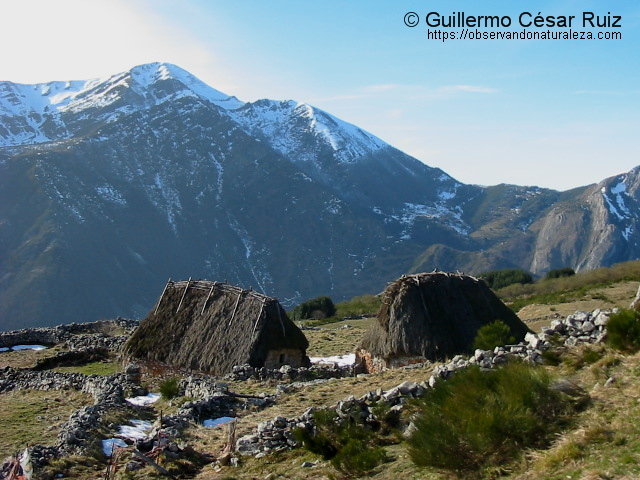 BRAÑA MUMIAN, SOMIEDO