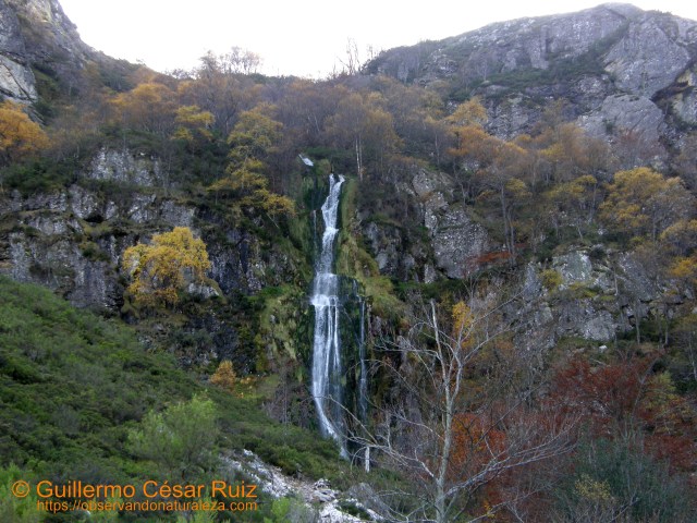 El Tabayón del Mongallu