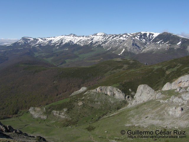 Peña Labra, Tres Mares y Valle de Los Redondos desde La Verdiana