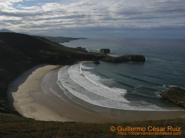Playa de Torimbia