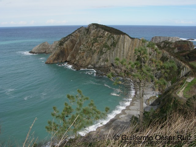 Playa o Ribera Gavieiru o del Silencio
