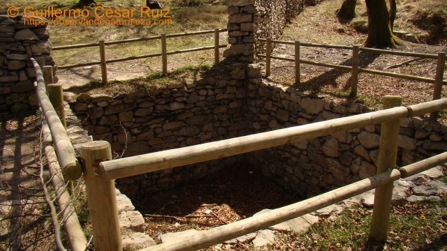 Hoyo Nuevo, detalle, Monte Santiago, Burgos
