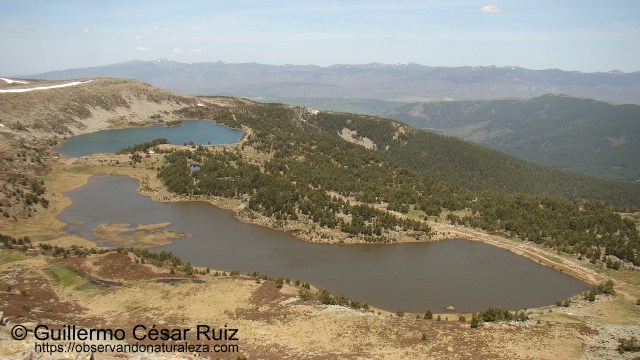 Lagunas glaciares Larga y Negra de Neila
