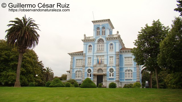 Archivo de Indianos, Colombres, Ribedeva