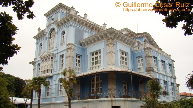 Archivo de Indianos, fachada posterior, Colombres, Ribedeva