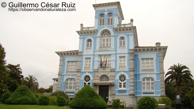 Archivo de indianos, fachada principal, Colombres, Ribedeva