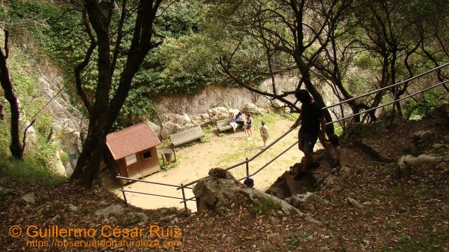 Bajada al Escañeru-Cueva El Pindal, Pimiangu, Ribedeva