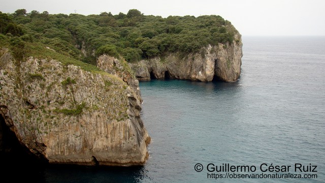Ensenada de Moral, Cabo de San Emeterio o Santu Medé, Pimiangu, Ribedeva