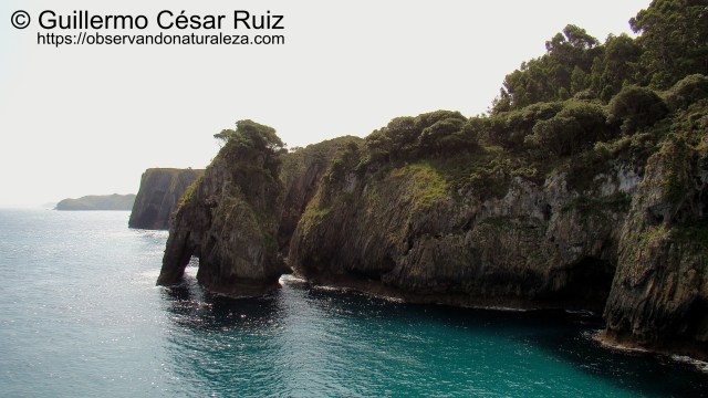 Ensenada de Moral desde El Escañucu, Pimiangu, Ribedeva