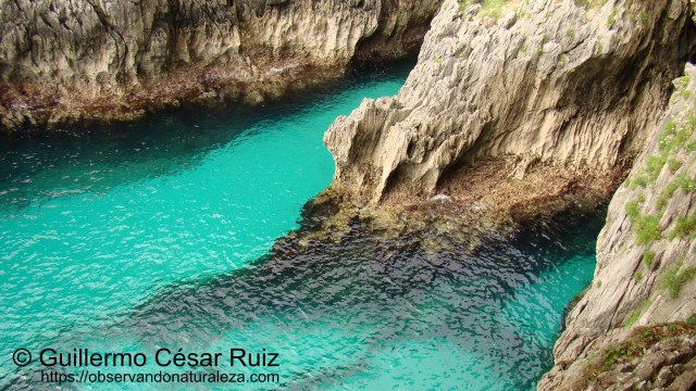 Ensenada de Moral, desde El Escañucu, Pimiangu, Ribedeva
