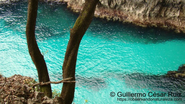 Ensenada de Moral, El Escañucu, Pimiangu, Ribedeva