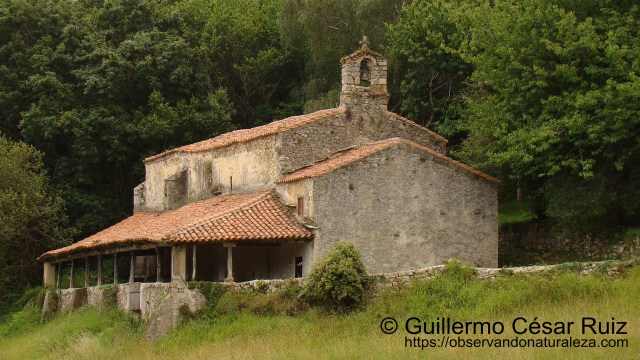 Ermita de Santu Medé, Pimiangu, Ribedeva