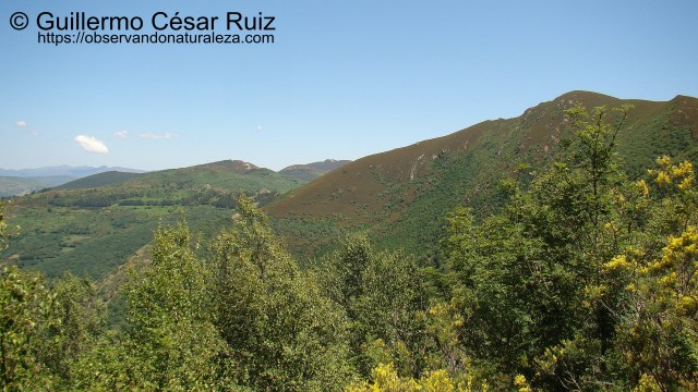 Formigueiros y Alto do Couto, Serra do Courel
