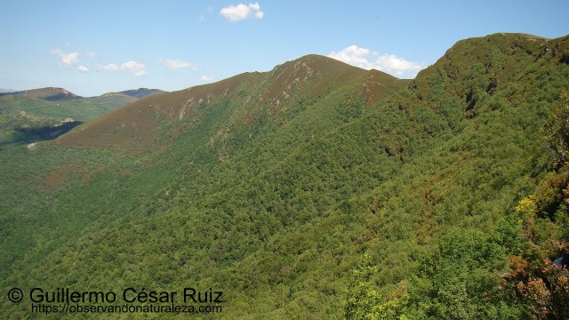 Formigueiros y Devesa da Rogueira, Serra do Courel
