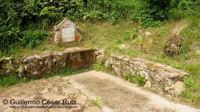 Fuente de San Emeterio, Pimiangu, Ribedeva
