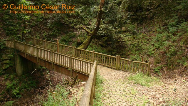 GR-E9 Senda Costera. Puente camino a ruinas del Monasterio Santa María de Tina Mayor