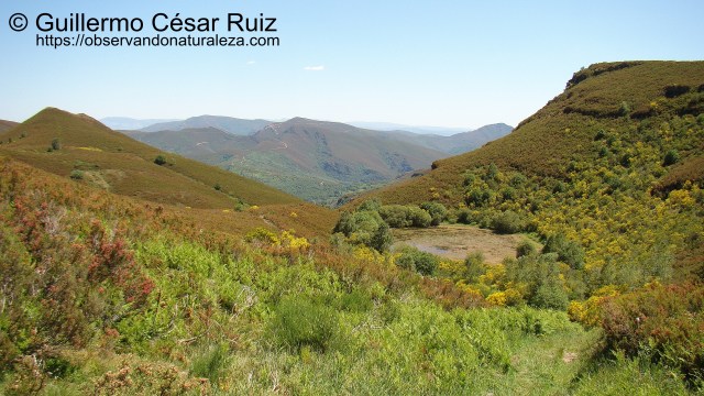 Lagoa da Lucenza, Seara, Serra do Courel