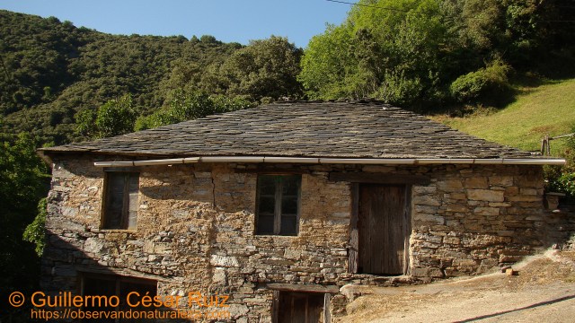 Moreda do Courel 2, Serra do Courel