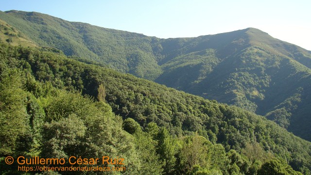Moreda Maior, Formigueiros, Miradoiro do Polin, Serra do Courel