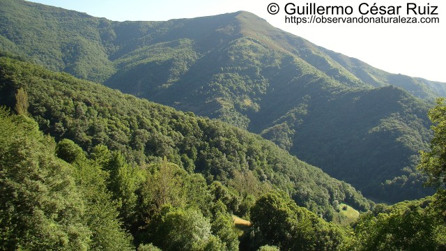 Moreda Maior, Miradoiro do Polin, Devesa da Rogueira, Serra do Courel