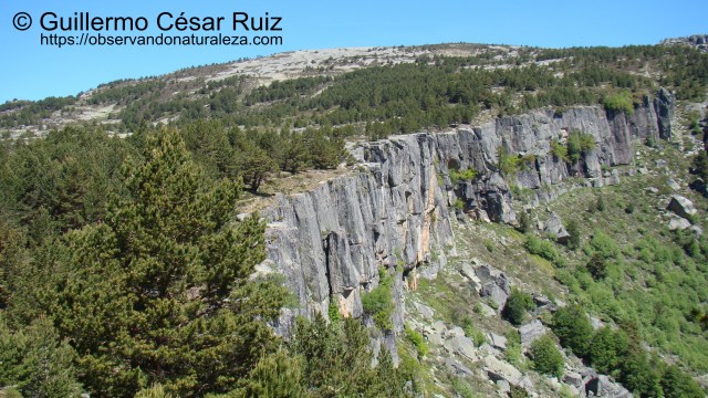 Murallón circo Laguna Negra