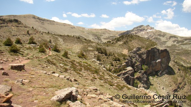 Pico Urbión desde Llanos de la Sierra II