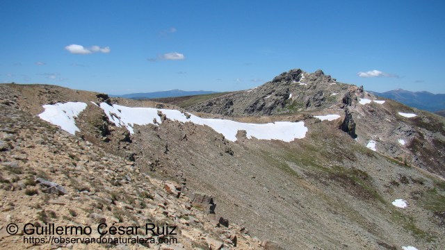 Pico Urbión desde Sierra de Mojón Alto
