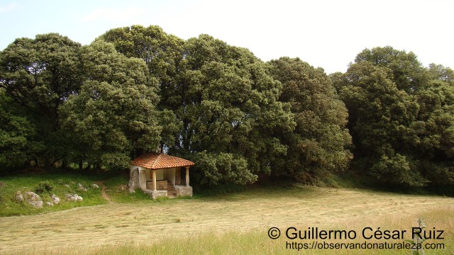 Práu y Capilla de Santu Medé, Pimiangu, Ribedeva