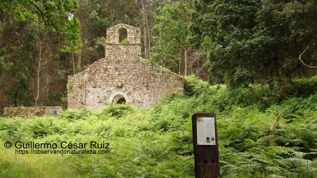 Ruinas Monasterio Santa Maria de Tina, Pimiangu, Ribedeva