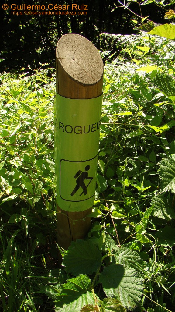 Señalizaciçon vertical ruta Devesa do Rogueira I
