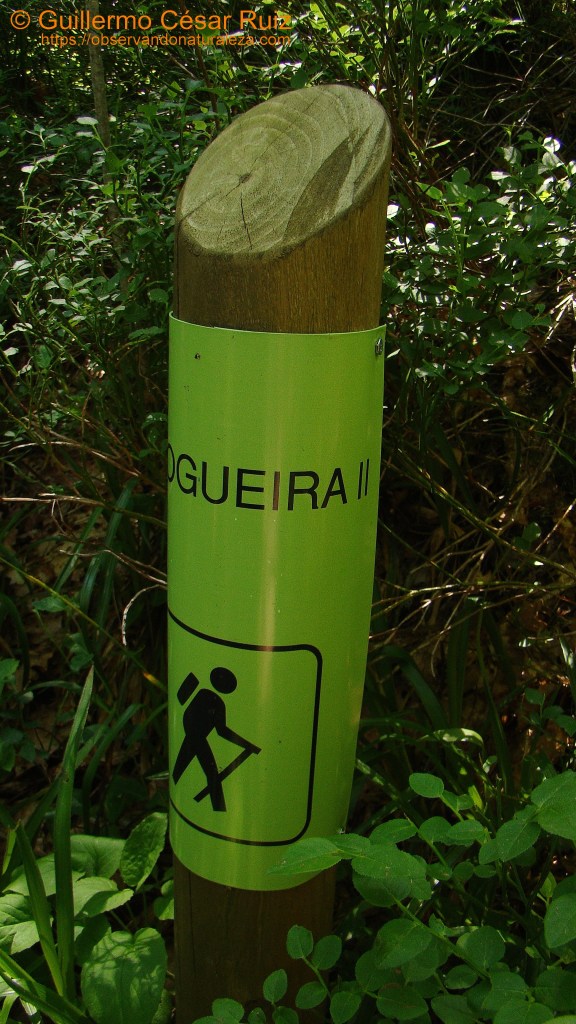 Señalizaciçon vertical ruta Devesa da Rogueira II