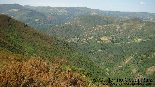 Serra das Travesas, Moreda do Courel, Miradoiro do Polin y Devesa da Rogueira, Serra do Courel