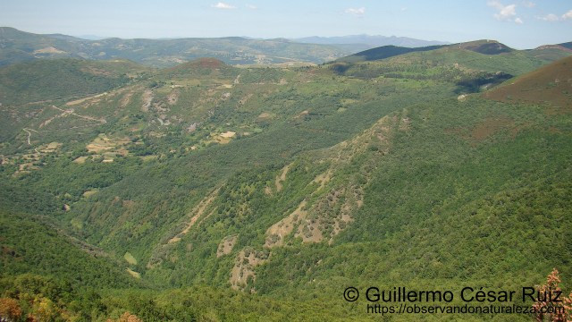 Serra das Travesas, Os Ancares, Moreda Maior y Devesa da Rogueira