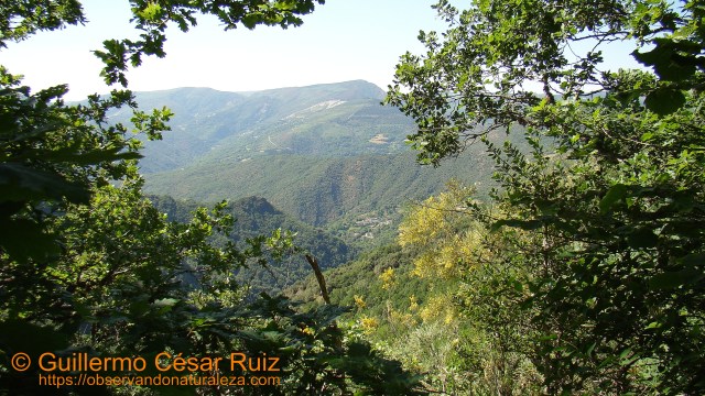 Teso Grande, Serra do Courel