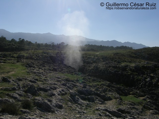 Bufón de Arenillas, Puertas de Vidiago (Llanes-Asturias)