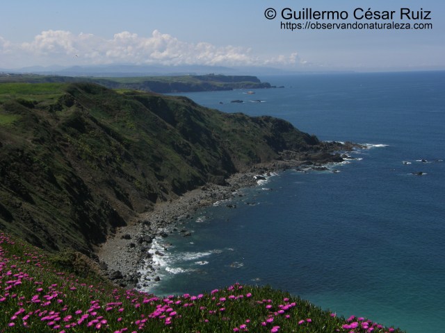Playa Carrera, Ferrero (Gozón-Asturias)