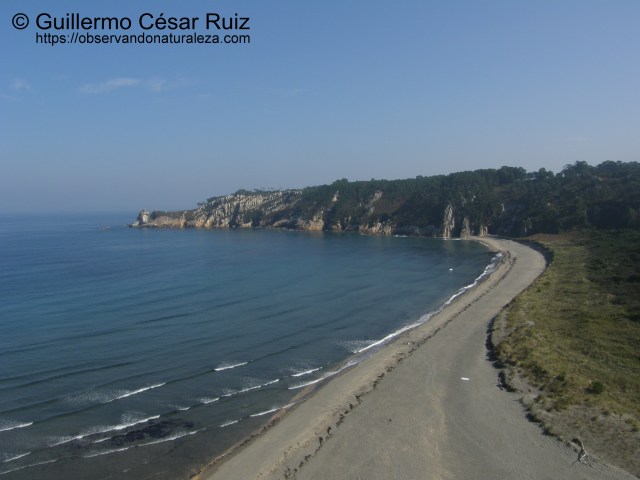 Playa de Barayo o La Veiga, Sabugo-Vigo (Valdés-Navia) Asturias