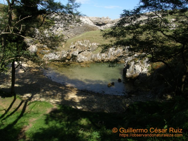 Playa de Cobih.eru/Cobijeru, Buelna (Llanes-Asturias)