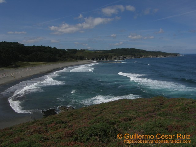 Playa de Frexulfe (Navia-Asturias)