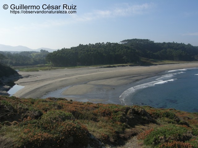 Playa de Frexulfe (Navia-Asturias)